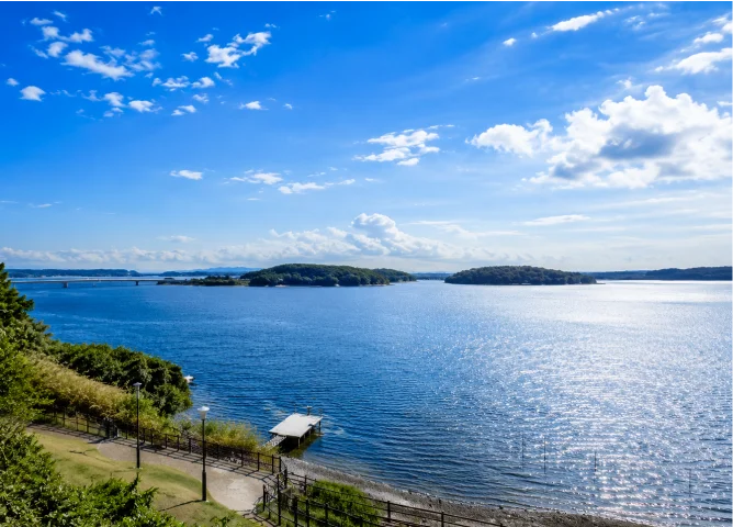 浜名湖産うなぎを厳選